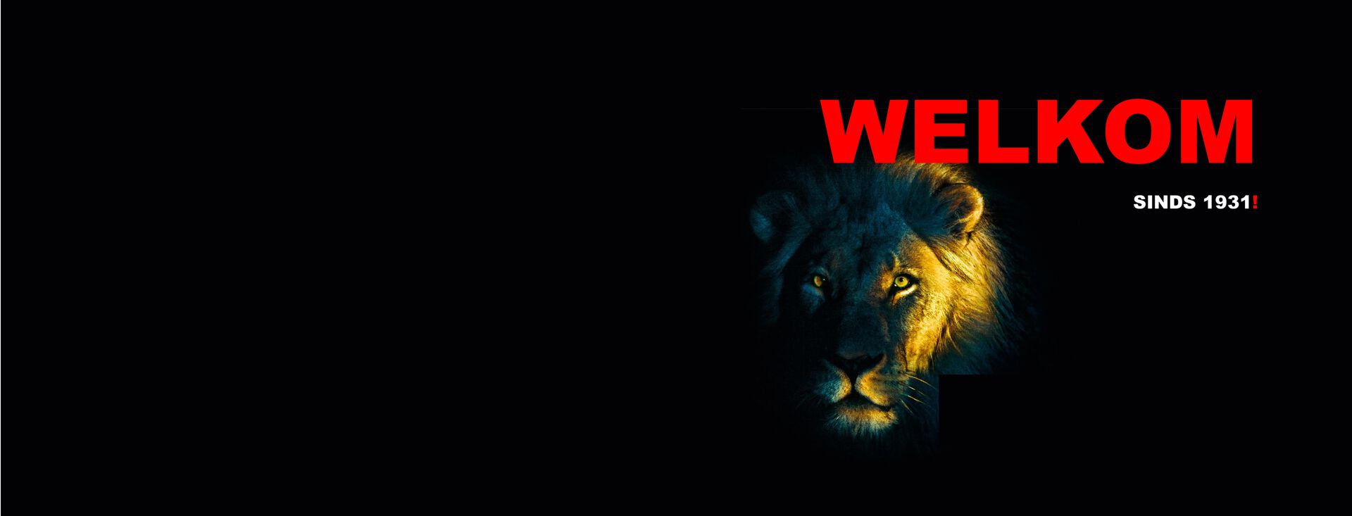 Welkom op de website van Wierda Bedrijfswagens!